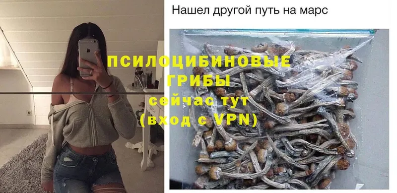 Галлюциногенные грибы Magic Shrooms  darknet состав  Полысаево 